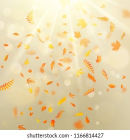 Beautiful autumn background with maple autumn leaves and delicate sun. EPS 10