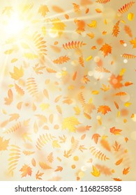 Beautiful autumn background with maple autumn leaves and delicate sun. EPS 10