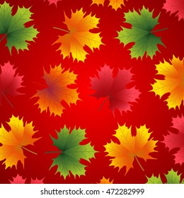 Beautiful autumn background with maple leaves on red
