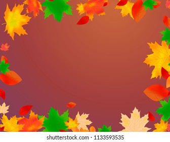 Beautiful autumn background with multi-colored maple leaves 