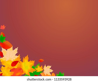 Beautiful autumn background with multi-colored maple leaves 