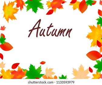 Beautiful autumn background with multi-colored maple leaves 
