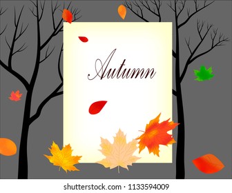 Beautiful autumn background with multi-colored maple leaves 