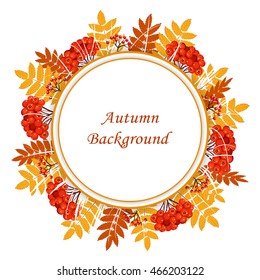 Beautiful autumn background with round frame and rowan wreath. Vector illustration.