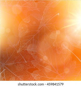 Beautiful autumn background with sun. EPS 10 vector file included