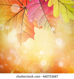 Beautiful autumn background with sun. EPS 10 vector file included