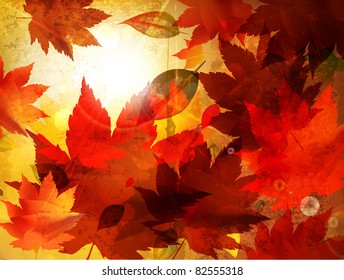 Beautiful autumn background for your design