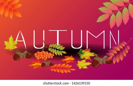 Beautiful "autumn" banner on gradient background. Leaves, berries, nuts.