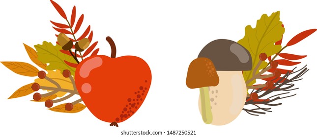 Beautiful autumn Bouquet set with apple, mushroom, berries and leaves. Autumn Vector illustration. Design element for greeting card or wedding invitation, scrapbook