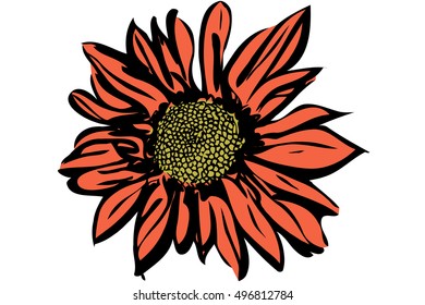  beautiful autumn flower chrysanthemum