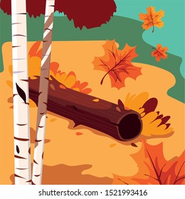 beautiful autumn landscape scene with trees vector illustration design