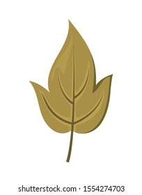 beautiful autumn leaf on white background vector illustration design