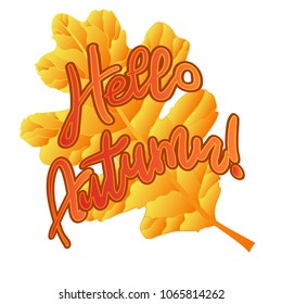 Beautiful autumn leaf and text. Autumn background. Isolated . Concept - Hello, Autumn!Vector illustration. Eps 10.
