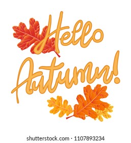 Beautiful autumn leaf and text. Autumn background. Isolated . Concept - Hello, Autumn!Vector illustration. Eps 10.