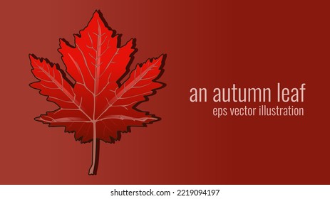 una hermosa ilustración del vector de hojas de otoño con un estilo realista. Las hojas de arce otoñales están aisladas en un fondo de color coincidente. Idóneo para muchos fines.