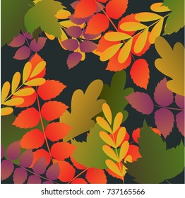 Beautiful autumn leafs and plants pattern background vector