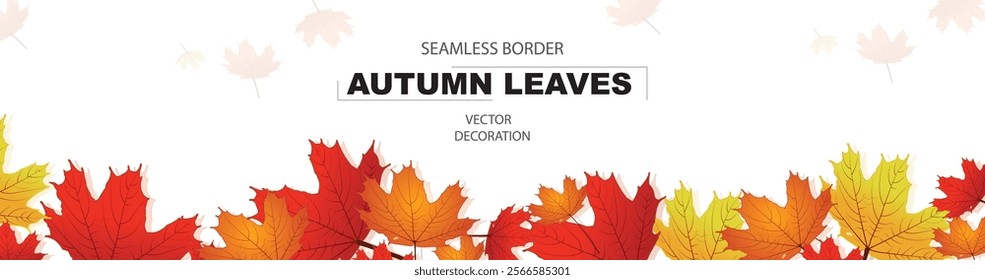 Beautiful autumn leaves decorative border frame vector template. Maple leaves . Canada, vector Background  