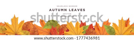 Beautiful autumn leaves decorative border frame vector template