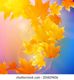 Beautiful autumn Leaves with delicate sunset light. EPS10