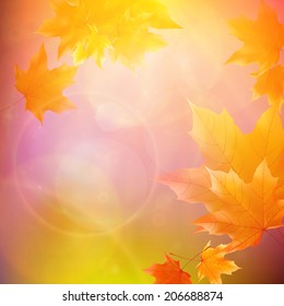Beautiful autumn Leaves with delicate sunset light. EPS10