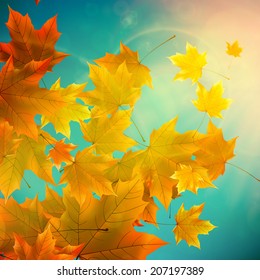 Beautiful autumn Leaves with delicate sunset light. EPS10