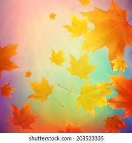 Beautiful autumn Leaves with delicate sunset light. EPS10