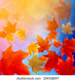 Beautiful autumn Leaves with delicate sunset light. EPS10