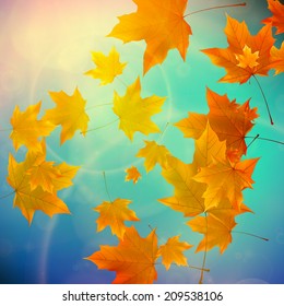 Beautiful autumn Leaves with delicate sunset light. EPS10