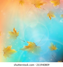 Beautiful autumn Leaves with delicate sunset light. EPS10