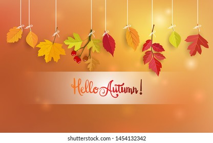 beautiful Autumn leaves hanging on a string. autumn background