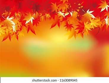 A beautiful autumn leaves illustration