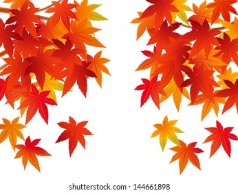 Beautiful autumn leaves in Japan