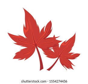 beautiful autumn leaves on white background vector illustration design