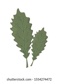 beautiful autumn leaves on white background vector illustration design