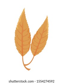 beautiful autumn leaves on white background vector illustration design