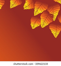 Beautiful Autumn Leaves vector illustration.
