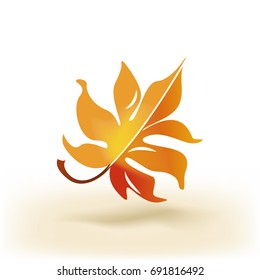 Beautiful autumn maple leaf
