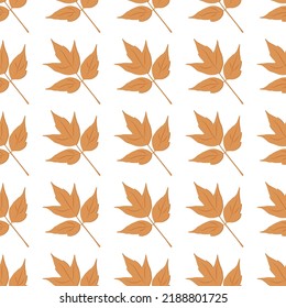 beautiful autumn pattern maple leaves can be used for posters banners backgrounds