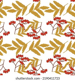 a beautiful autumn pattern of twigs with rowan berries can be used for posters banners backgrounds