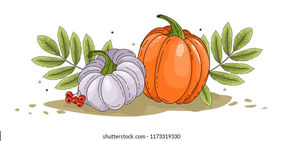 Beautiful autumn pumpkins. Vector illustration.
