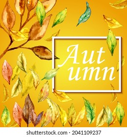 Beautiful autumn sale card leaves background