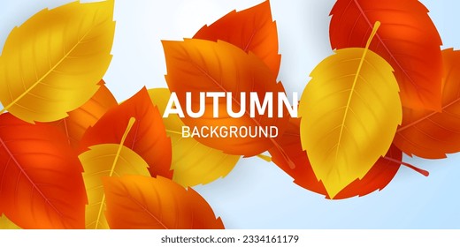 beautiful autumn scene background vector illustration
