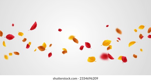 beautiful autumn scene background vector illustration