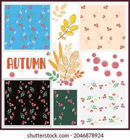 Hermoso conjunto otoñal de patrones vectoriales para la decoración