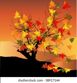 Beautiful autumn tree