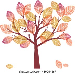 beautiful autumn tree