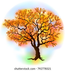 Beautiful autumn tree on a colored background