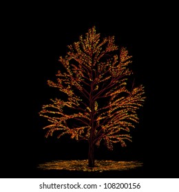 Beautiful autumn tree over black.