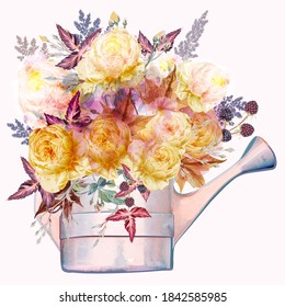 Beautiful autumn vector rose flowers in  water can in watercolor style