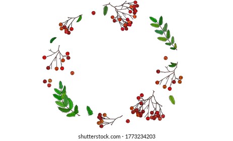 Beautiful autumnal rowanberries with green leaves put together in a circle